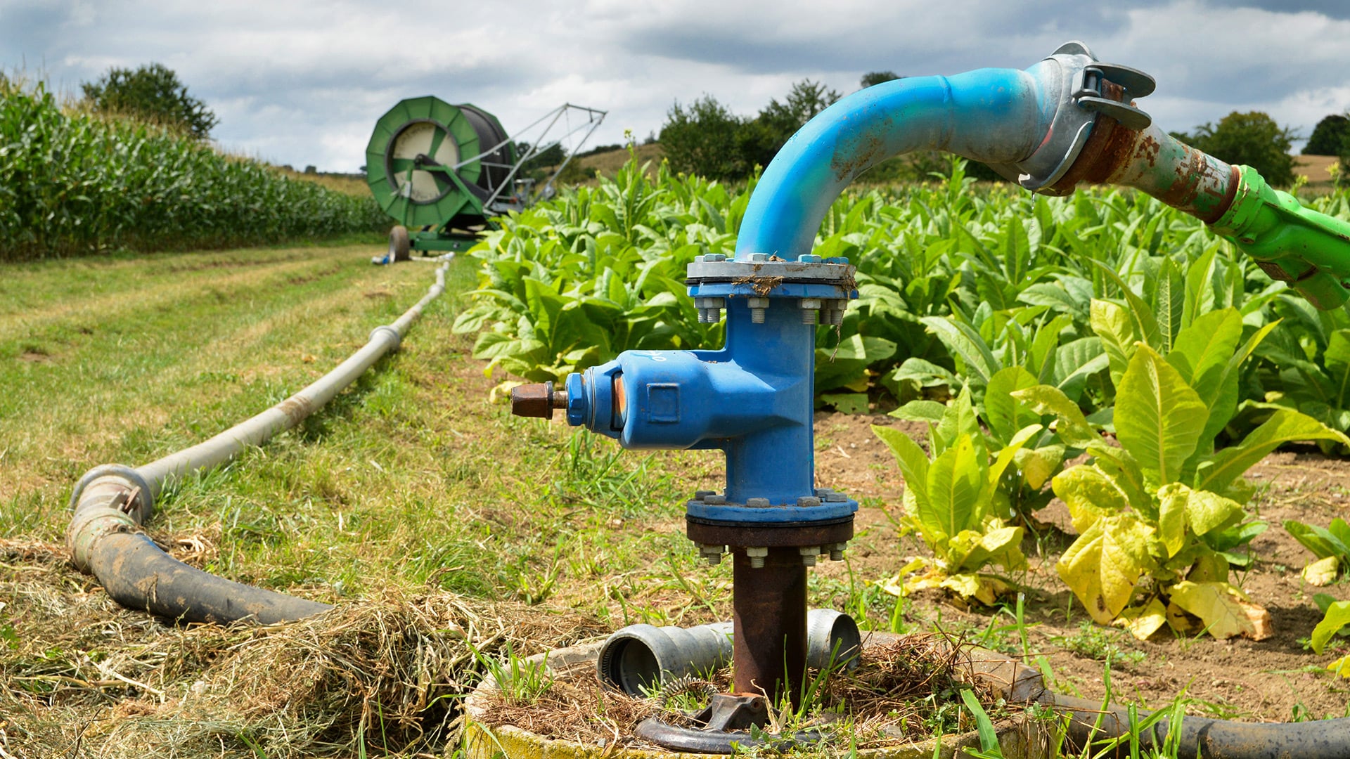 Pedrollo CPm Irrigation Pump Set Centrifugal Pumps