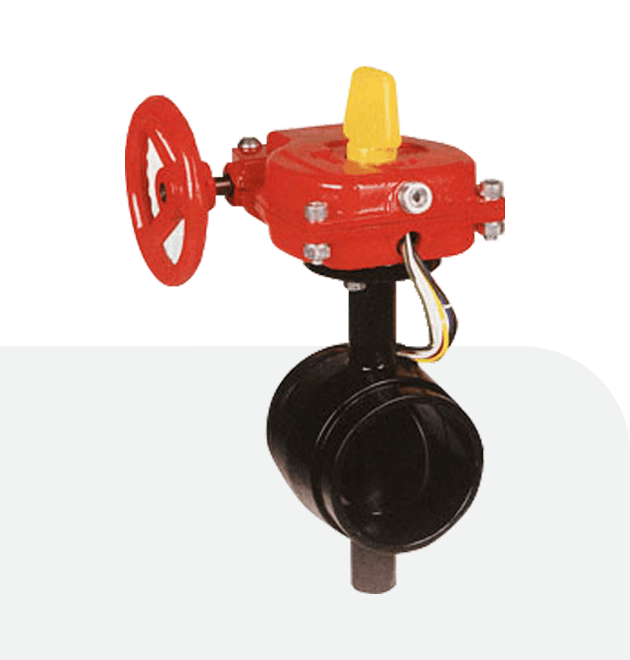 Tyco BFV-300 Butterfly Valve