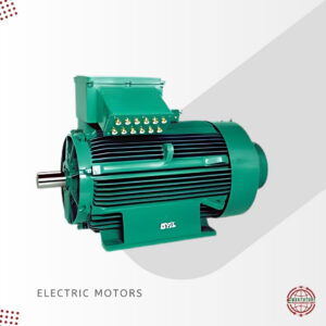 Industrial Electric Motors